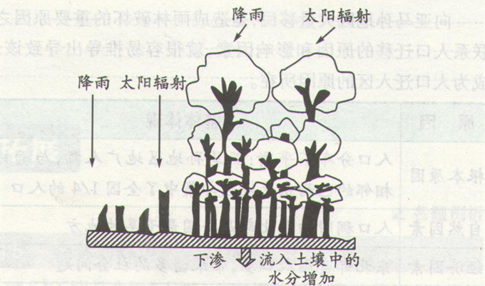 高考地理《雨林生态的脆弱性》考点图片