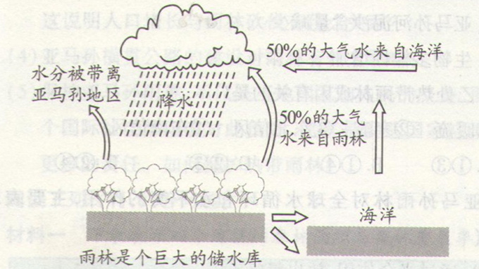 高考地理《森林的开发和保护》通关题图片