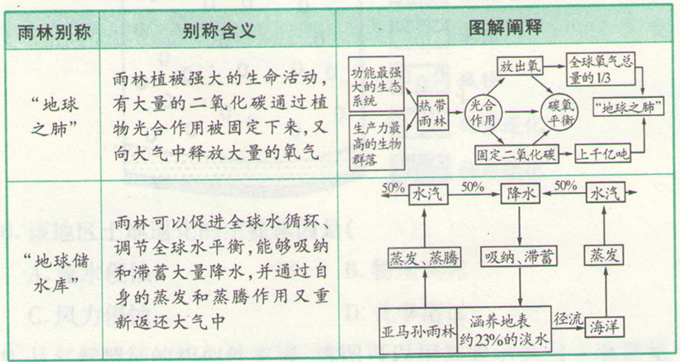 高考地理《热带雨林的全球环境效应》考点图片