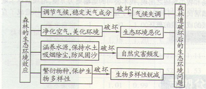 高考地理《森林对环境的影响》图片