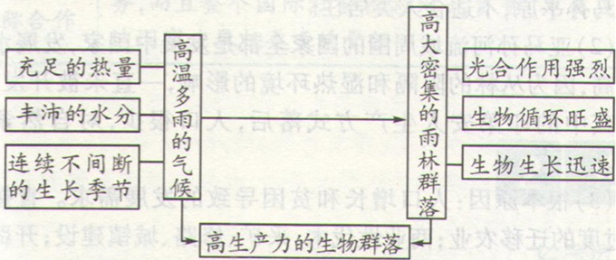 高考地理《雨林生态的脆弱性》考点图片